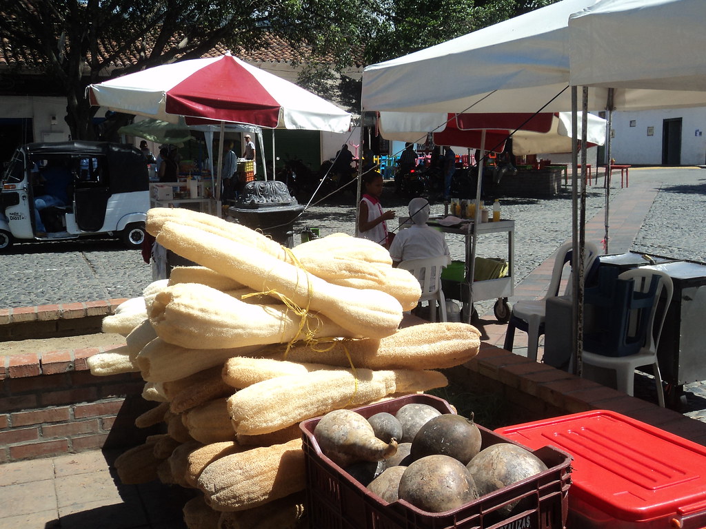 3c3b71ffthumbnail Filtros para piscinas: escolha, custos e instalação