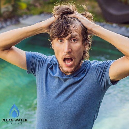 Como Eliminar Algas da Piscina de Vez: Guia Completo 2025